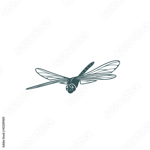 Dragonfly design vector illustration, Creative Dragonfly logo design concept template, symbols icons