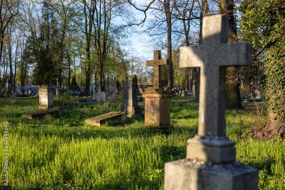 forgotten beautiful christian stone cross in an old forgotten cemetery, charming place, crosses, resting place, golden light of the setting sun shining upon a gravestone crosses forgotten beautiful christian stone cross in an old forgotten cemetery, charming place, crosses, resting place, golden light of the setting sun shining upon a gravestone crosses