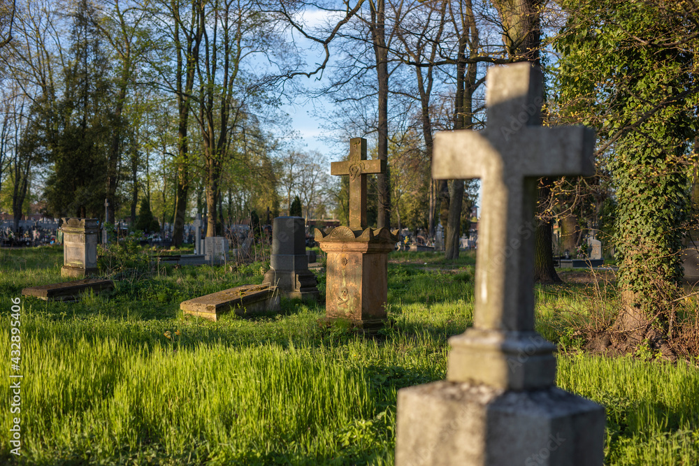 christian stone cross in an old forgotten cemetery, charming place, crosses, resting place, golden light of the setting sun shining upon a gravestone crosses christian stone cross in an old forgotten cemetery, charming place, crosses, resting place, golden light of the setting sun shining upon a gravestone crosses