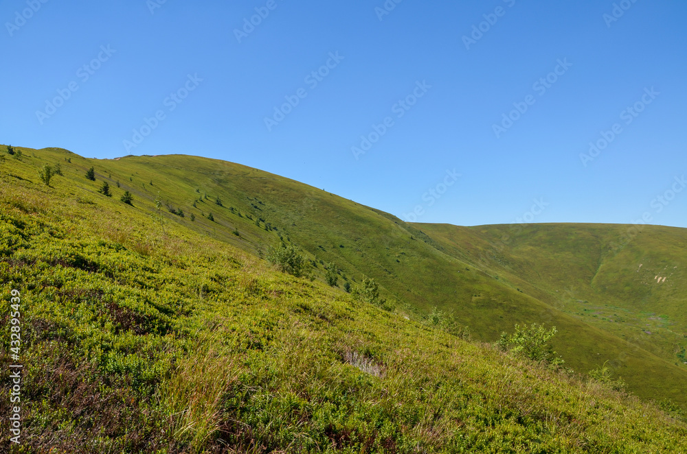 Panoramic view of the Carpathian mountains, green forests and meadow in summer sunny day. Ukraine Panoramic view of the Carpathian mountains, green forests and meadow in summer sunny day. Ukraine
