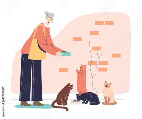 Older granny holding plate with food for cats. Cute senior lady with gray hair feeding pets