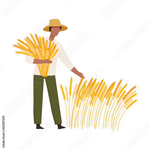 Man Farmer in Straw Hat Gathering Ears of Wheat Vector Illustration