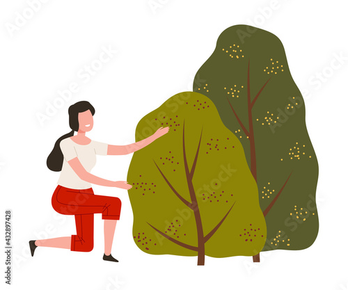 Woman Farmer Gathering Ripe Berry from Green Bush Vector Illustration