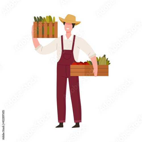 Man Farmer in Straw Hat Holding Wooden Crate with Ripe Vegetables Vector Illustration