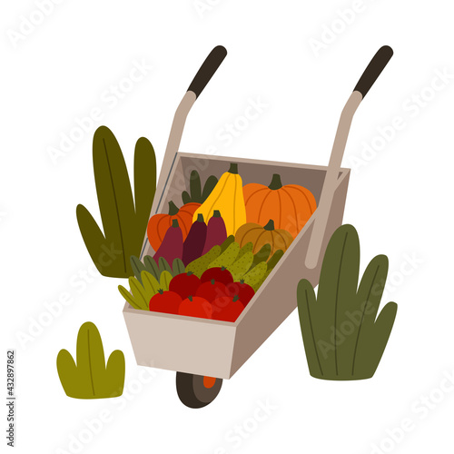 Ripe Vegetables in Wheelbarrow as Seasonal Harvesting and Yield Vector Illustration