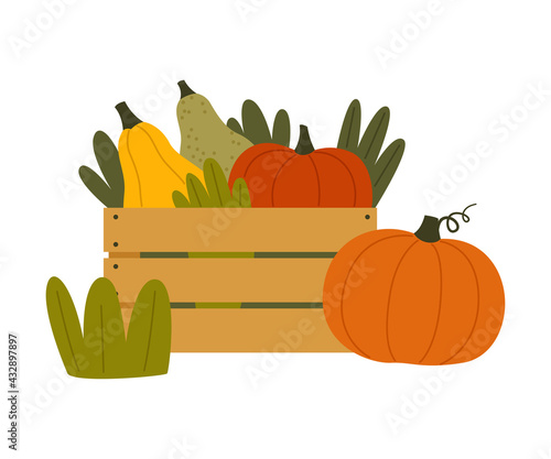 Ripe Pumpkin Vegetable in Wooden Crate as Seasonal Harvesting and Yield Vector Illustration