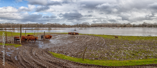 Flooding of the Isle River photo