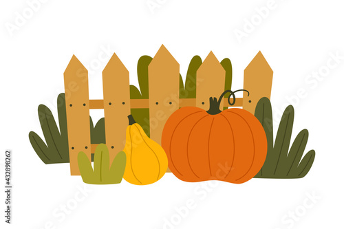 Ripe Pumpkin Vegetable as Seasonal Harvesting and Yield Vector Illustration