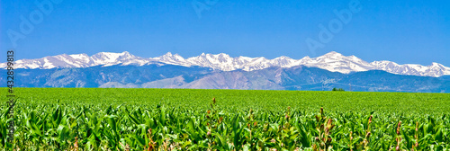 Indian Peaks Farmland Panorama - Corn field rows in spring looking at front range & Indian Peaks, Mount Alice, Mount Orson, Lookout Mountain, Tanima Peak, Eagles Beak, Mahana Peak, & Copeland Mountain photo