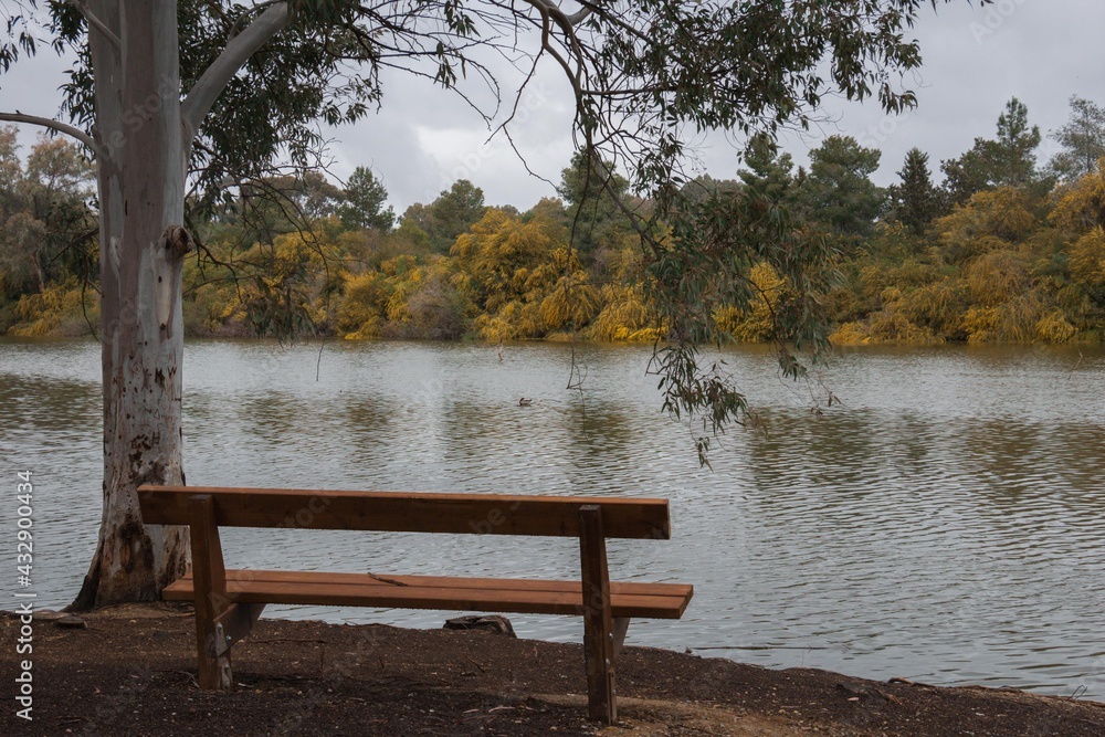 bench by the lake