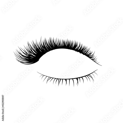 Detailed realistic beautiful eyelashes, fashion element on white