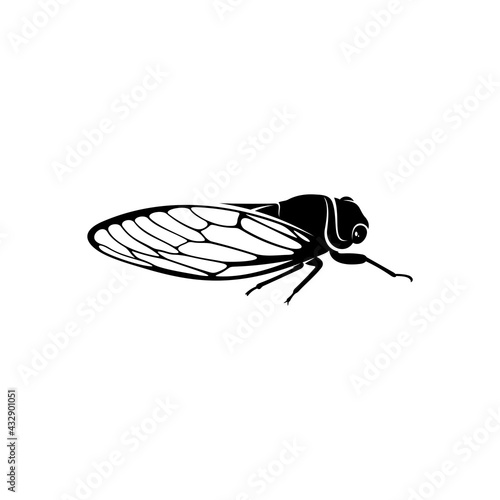 Cicada design vector illustration, Creative Cicada logo design concept template, symbols icons