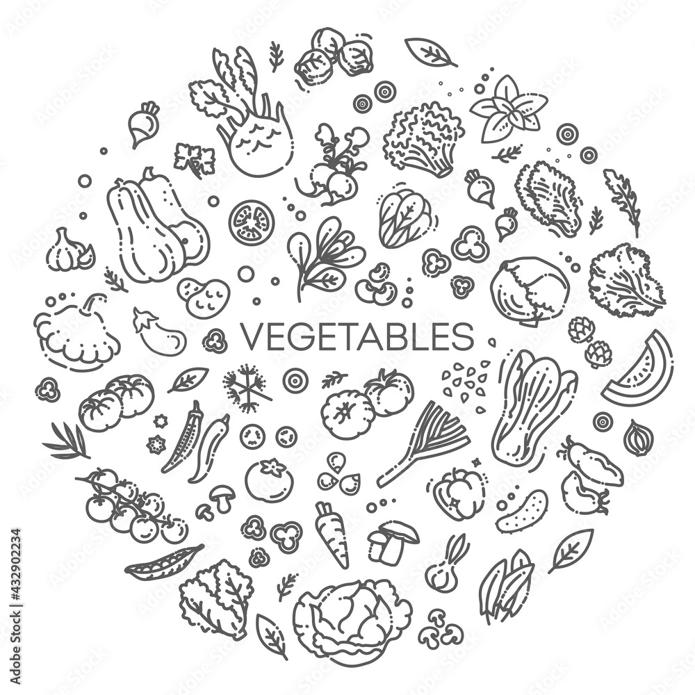 Fototapeta premium Vegetables doodle drawing collection. Vector illustration