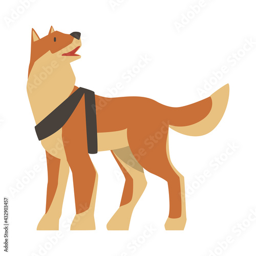 Seeing Eye Dog, Specially Trained Assistance Guide Pet Dog Cartoon Vector Illustration