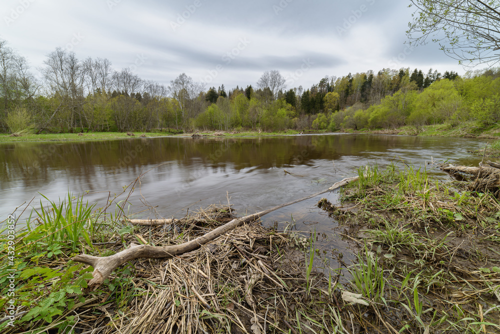 Spring view by the river Dubysa. Spring view by the river Dubysa.