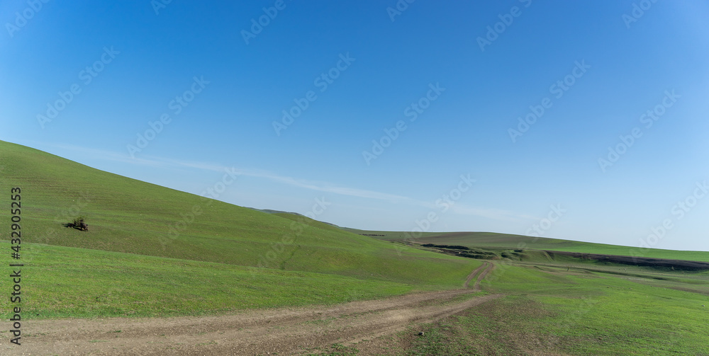 Pastoral landscape in green Kahetia fields