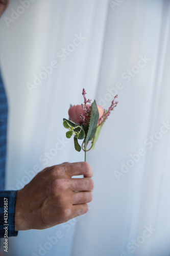 a man's hand holds a vitiligo flower