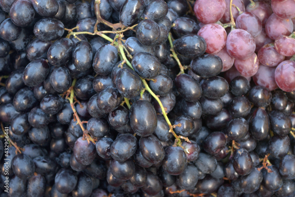 The background of fresh ripe black grape, wine and harvest concept The background of fresh ripe black grape, wine and harvest concept