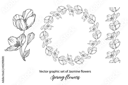 A set of graphic flower compositions with Jasmine flowers. Jasmine