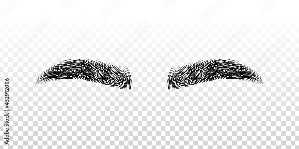 Vector realistic isolated black eyebrows for template decoration on the Vector realistic isolated black eyebrows for template decoration on the