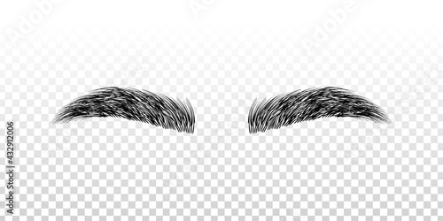 Vector realistic isolated black eyebrows for template decoration on the transparent background.