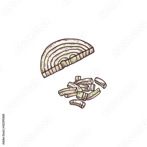 Chopped onion in half-ring and cubes, sketch vector illustration isolated.