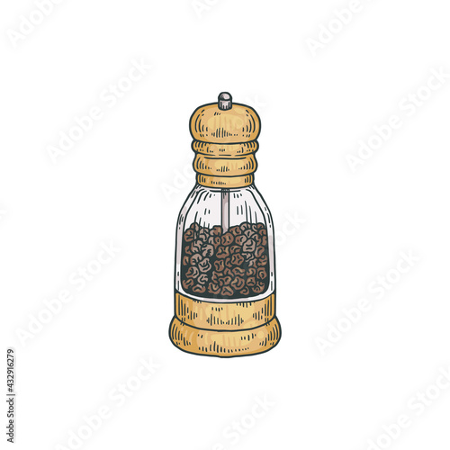 Glass pepper mill with rotating lid, engraving vector illustration isolated.