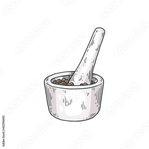 Wooden mortar and pestle for grinds dry black pepper a vector illustration.