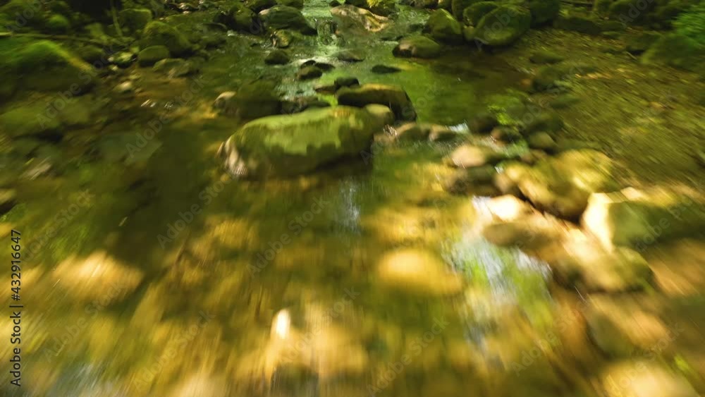 Fast flying over a beautiful spring stream in green woods. Fast flying over a beautiful spring stream in green woods.