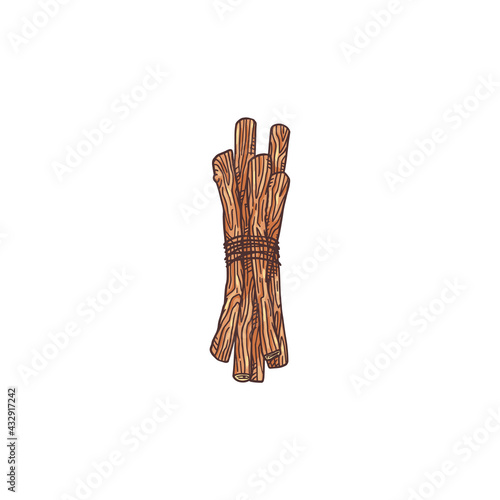 Bundle of licorice or liquorice root engraving vector illustration isolated.