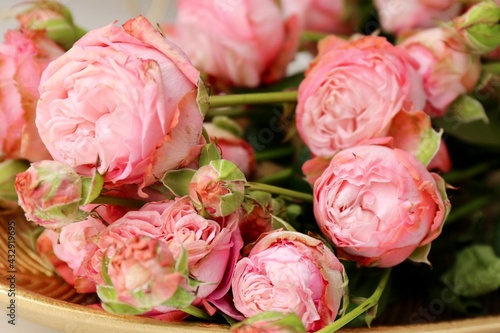 bouquet pink roses in a garden © Gnevkovska