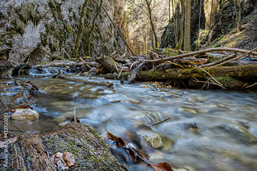 Flowing creek  Velky Sokol gorge  Slovak Paradise national park