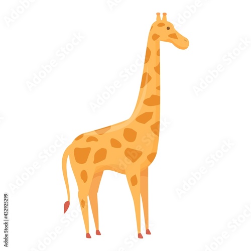 Safari giraffe icon. Cartoon of Safari giraffe vector icon for web design isolated on white background