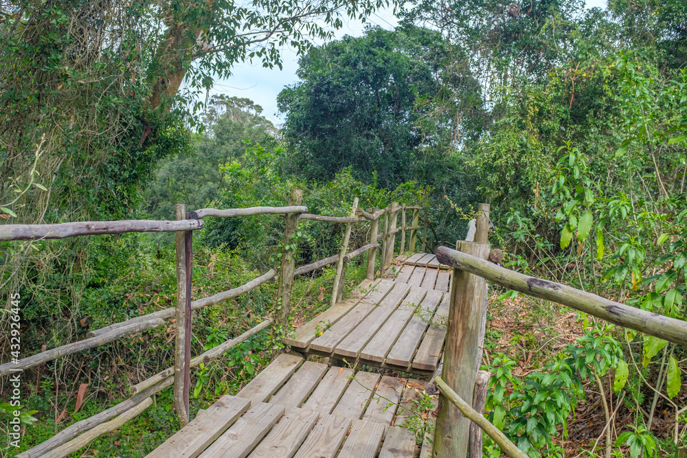Fototapeta premium Beautiful wooden walkway in the middle of Forest