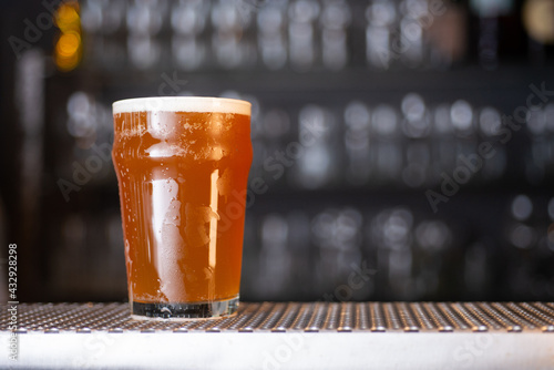 Chop of beer in bar photo