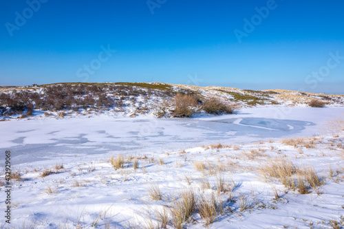 Snowy and ice winter landscape at the Amsterdamse Waterleidingduinen