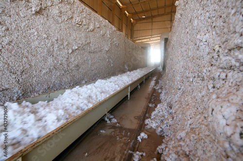 Warehouse with cotton bales © Casa.da.Photo