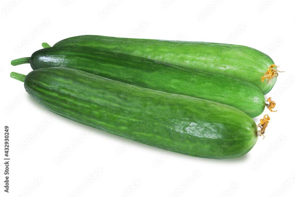 Three cucumbers on an isolated white background. Fresh cucumber Three cucumbers on an isolated white background. Fresh cucumber