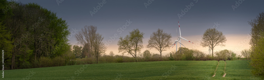 Panorama of field with renewable energy windmills in background Panorama of field with renewable energy windmills in background
