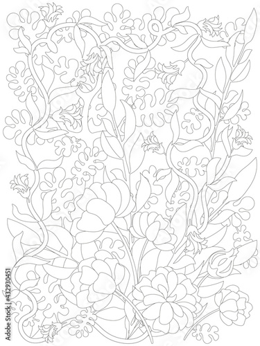 Adult Coloring Page. Botanical Weave Floral mix. Flowers coloring © Liza