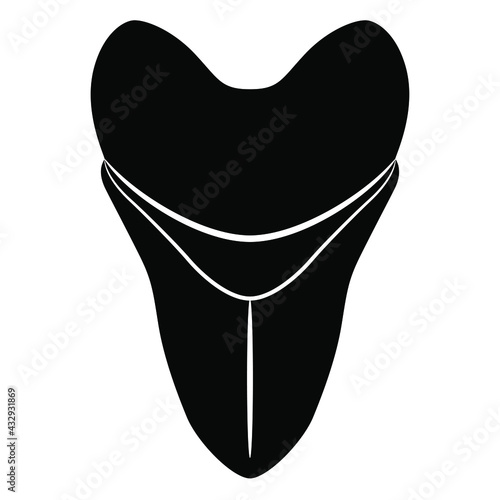Tooth of extinct prehistoric shark Megalodon. Black and white silhouette.