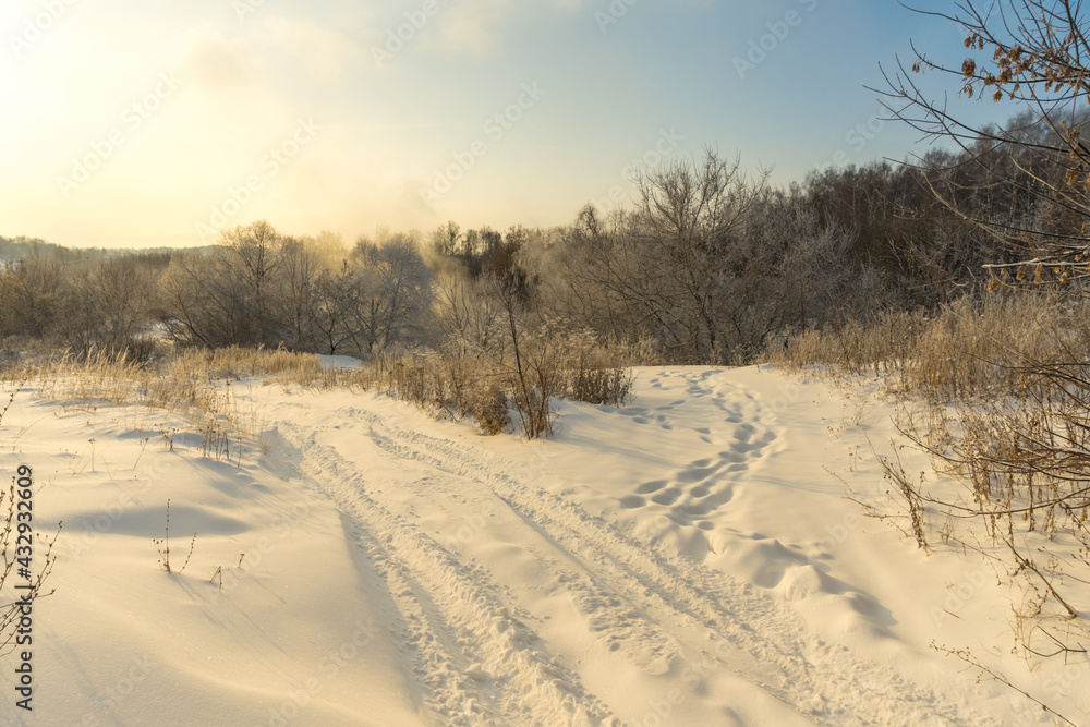 Obraz premium landscape with snow
