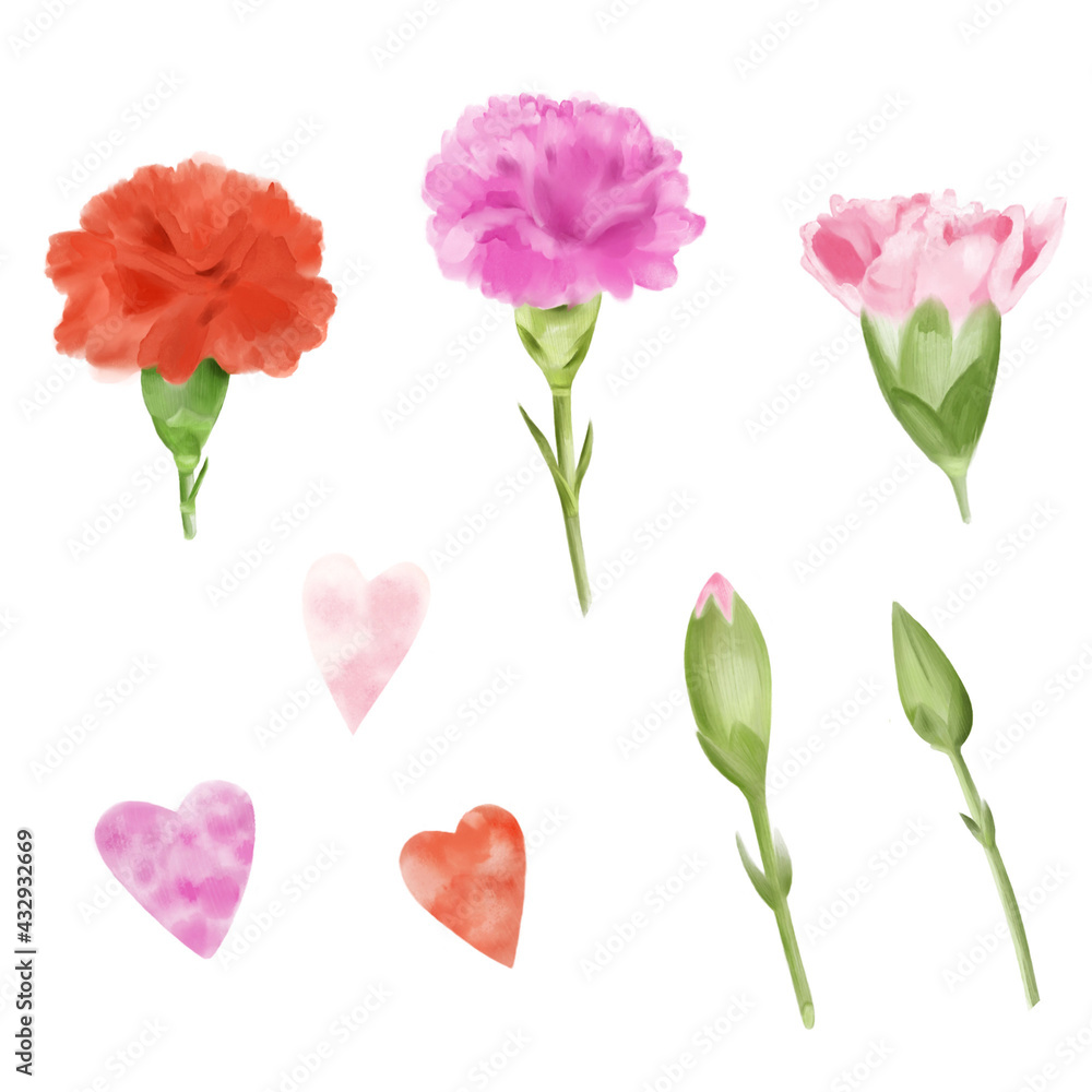 Carnation elements isolated for textures, factories, textiles, postcards