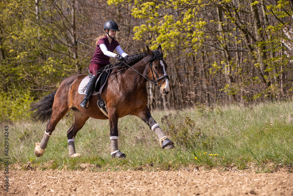 Reiterin und Pferd im  Gelände