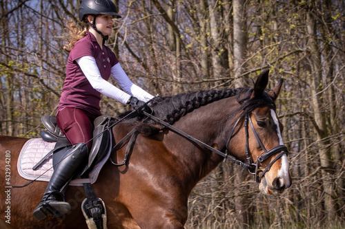 Reiterin und Pferd im  Gelände © Nadine Haase