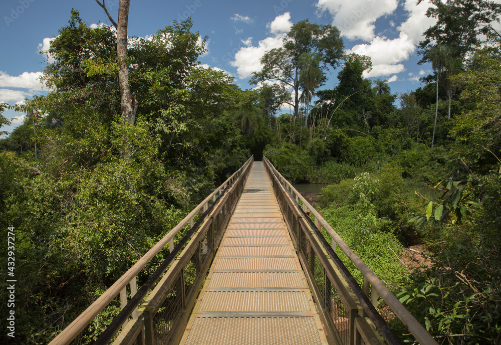 The wooden boardwalk over the river and into the jungle. View of the empty walkway into the green tropical forest in the Iguazu national park in Misiones, Argentina. The wooden boardwalk over the river and into the jungle. View of the empty walkway into the green tropical forest in the Iguazu national park in Misiones, Argentina.