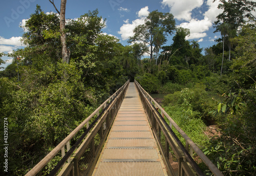 The wooden boardwalk over the river and into the jungle. View of the empty walkway into the green tropical forest in the Iguazu national park in Misiones, Argentina. photo