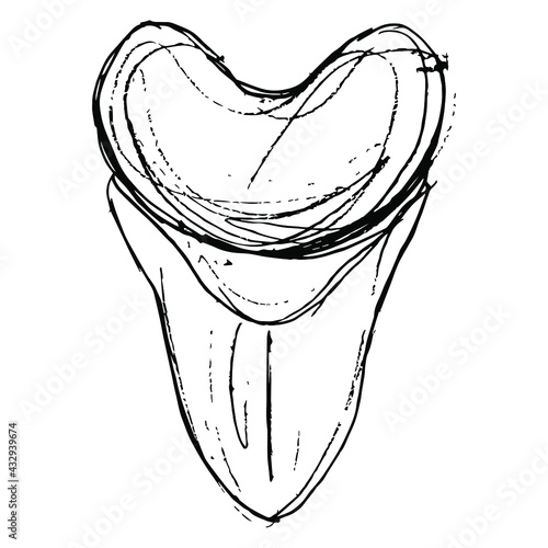 Tooth of extinct prehistoric shark Megalodon. Hand drawn linear doodle rough sketch. Black silhouette on white background.