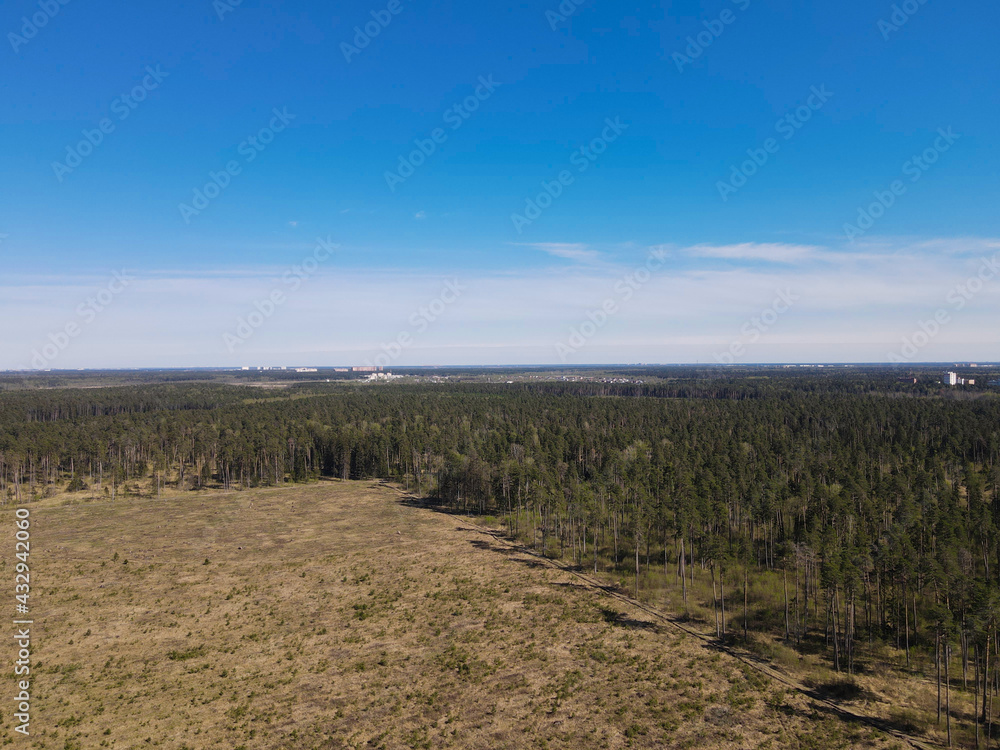 View from the height of the field and coniferous forest. Panoramic beautiful photo from a drone. Picturesque photo wallpaper, screensaver, cover, background.