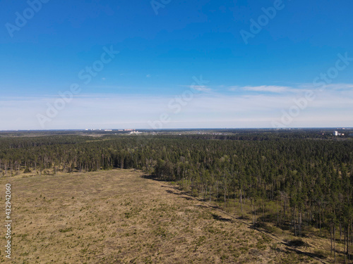 View from the height of the field and coniferous forest. Panoramic beautiful photo from a drone. Picturesque photo wallpaper  screensaver  cover  background.